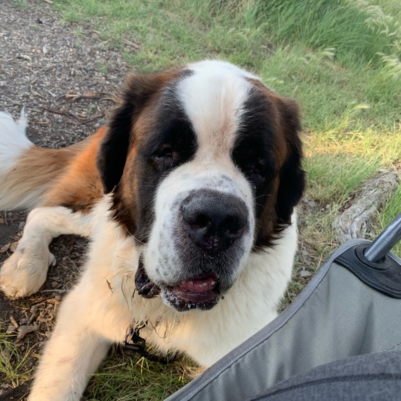 Profile Picture of James Wilking (@jameswilking06) on Poshmark