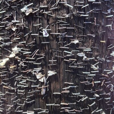 Profile Picture of Tyler Prickett (@PrickettTyler) on Twitter