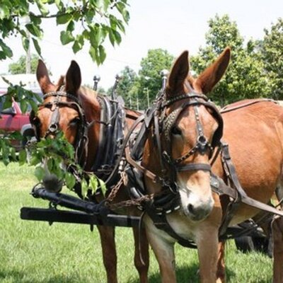 Profile Picture of Brad Penick (@bradleyp79) on Twitter