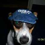 Profile Picture of Mike Burks (@mikeburks) on Instagram