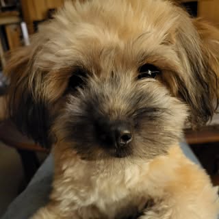 Profile Picture of Richard Quast (@richard.quast) on Instagram