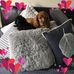 Profile Picture of Marlene Tupper (@marlene.tupper.5) on Facebook