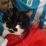 Profile Picture of Claire Beard (@claire.j.beard) on Instagram