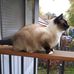 Profile Picture of Janet Cason (@janet.cason.31) on Facebook