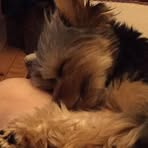 Profile Picture of Donna Kenney (@charley.kenney.31) on Facebook