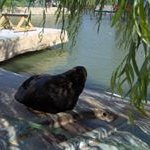 Profile Picture of Erich Schutze (@erichschutze) on Instagram