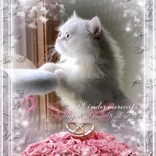 Profile Picture of Janet Hays (@janet.hays.31) on Facebook