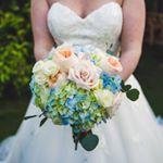 Profile Picture of elizabeth epstein-tracy (@nathanielninog7248) on Instagram