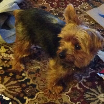 Profile Picture of Nancy Reuter (@reuternancy) on Twitter