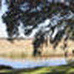 Profile Picture of Nick Keefe (@JN Keefe) on Flickr