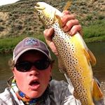 Profile Picture of Will Kymlicka (@willkymlicka) on Instagram