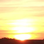 Profile Picture of Audrey Steckline (@audreysteckline) on Instagram