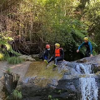 Profile Picture of Barry Sigmon (@sigmonbarry) on Instagram