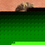 Profile Picture of Yvette Addison (@yvette.addison) on Myspace