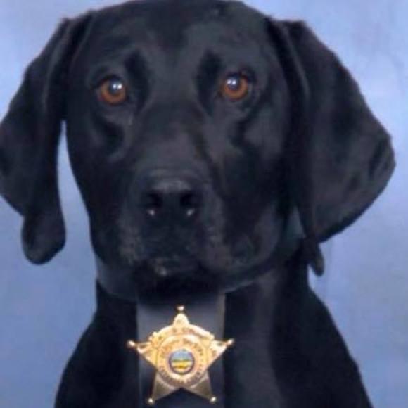 Profile Picture of Michael Twombly (@mtwom98) on Poshmark