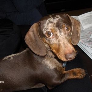 Profile Picture of Richard Ferguson (@273477296) on Myspace