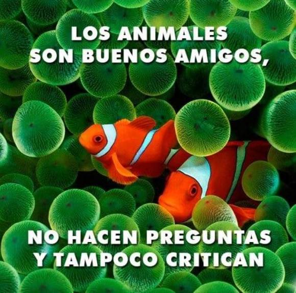 Profile Picture of Marina Lopez (@luzavila486) on Poshmark