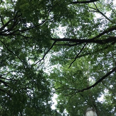 Profile Picture of Paul Prosper (@paulprosper) on Twitter
