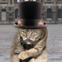 Profile Picture of Terence Pearce (@terence-pearce-3) on Quora