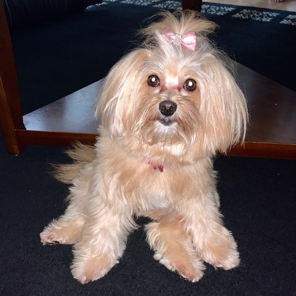 Profile Picture of Florence Kishun (@fkishun) on Poshmark