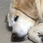 Profile Picture of Carter Wolff (@sparkles_magee0987) on Instagram