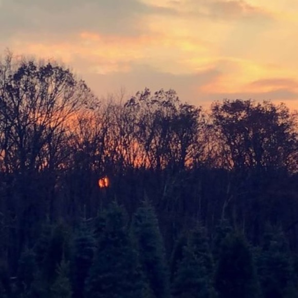 Profile Picture of Rye Rye (@wogg12) on Poshmark