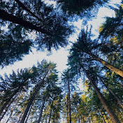 Profile Picture of Leah Webber (@leahwebber4677) on Youtube