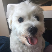 Profile Picture of Benjamin Cho (@byc090020) on Youtube