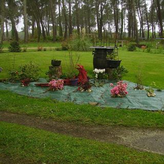 Profile Picture of Daniel Lafargue (@danieletjeannine.lafargue) on Facebook