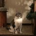 Profile Picture of Chris Shope (@chris.shope.58555) on Facebook