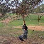 Profile Picture of Eitan Schwartz (@eitan_schwartz07) on Instagram