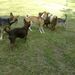 Profile Picture of Kathy Davis-Reid (@little) on Pinterest