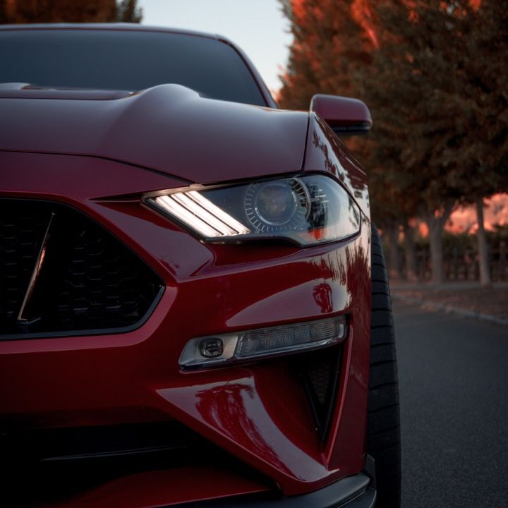 Profile Picture of Jackson Neal (@jackson1neal) on Tiktok