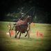 Profile Picture of Shirley Haas (@shirley.haas.75) on Facebook