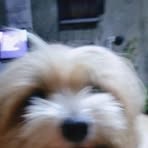 Profile Picture of Alex SanJuan (@alex.sanjuan.581883) on Facebook