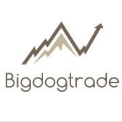 Profile Picture of Sean ODowd (@Bigdogtrade) on Twitter