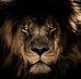 Profile Picture of Darrell Manuel (@darrell.manuel.9619) on Facebook