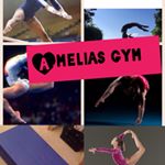 Profile Picture of 😆Amelia Pickering😆 (@ameliasgym) on Instagram