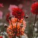 Profile Picture of Andrew H.davenport. (@andrewhdavenport) on Pinterest
