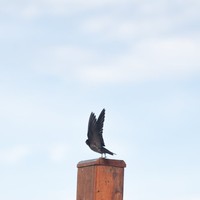 Profile Picture of Albert Cassidy (@albert-cassidy-1) on Quora