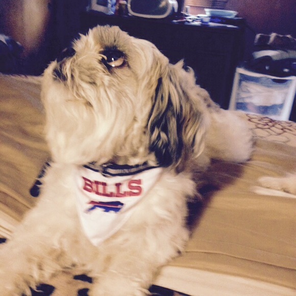 Profile Picture of Lynn Verrone (@lverrone) on Poshmark