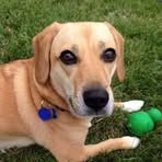 Profile Picture of Jerry Cichanski (@jerry.cichanski) on Facebook