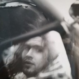 Profile Picture of Thomas Scheibner (@barlograureif) on Twitter