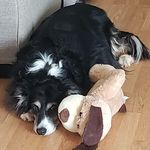 Profile Picture of Jeff Ferry (@jeenyus336) on Instagram