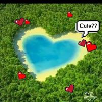 Profile Picture of Quốc Lý (@quốc-lý) on Quora