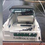 Profile Picture of Randy Shaw (@rando_876) on Instagram