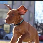 Profile Picture of Nate Ferguson (@lajoslouie17) on Instagram