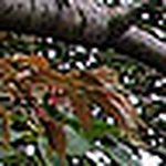 Profile Picture of Janet Griffiths (@janet.griffiths) on Flickr