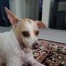 Profile Picture of Lisa Cotrone (@lisa.cotrone.12) on Facebook