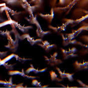 Profile Picture of Grook (@GrookSound) on Youtube